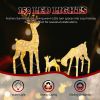 3-Piece Lighted Christmas Reindeer Family Set Outdoor Decorations