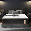 10" Queen Plush Hybrid Mattresses with Independently Encased Coils & Gel Memory Foam, Fiberglass-Free, Motion Isolation-Edge Support